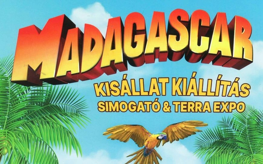 Madagascar kisállat kiállítás